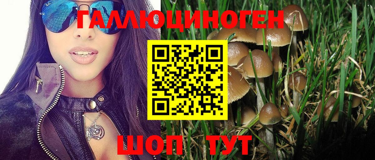 Камень-на-Оби  Галлюциногенные грибы Cubensis  Вход с VPN 