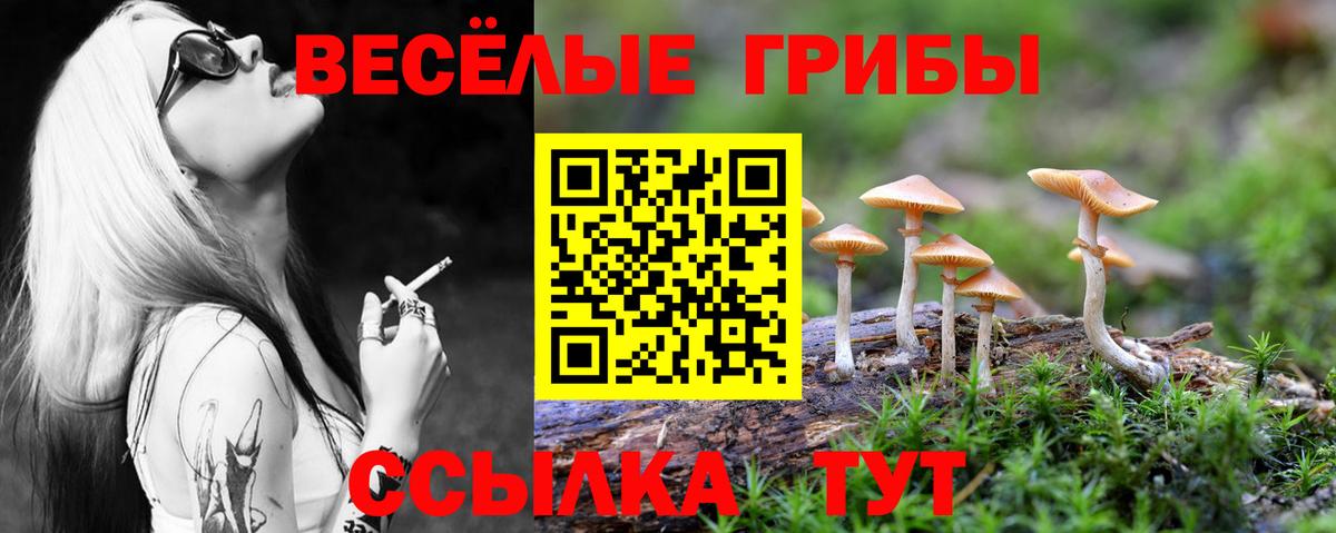 Галлюциногенные грибы Magic Shrooms Камень-на-Оби